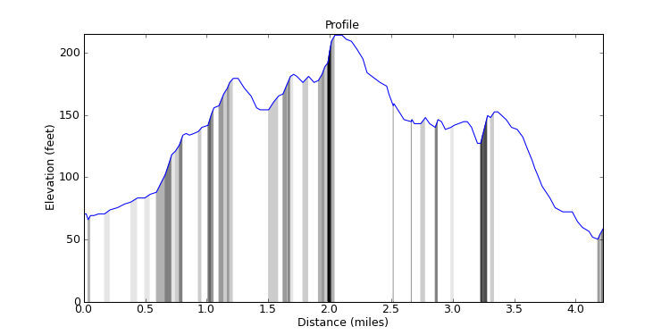 segment 3 large profile
