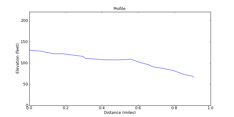segment 1 large profile
