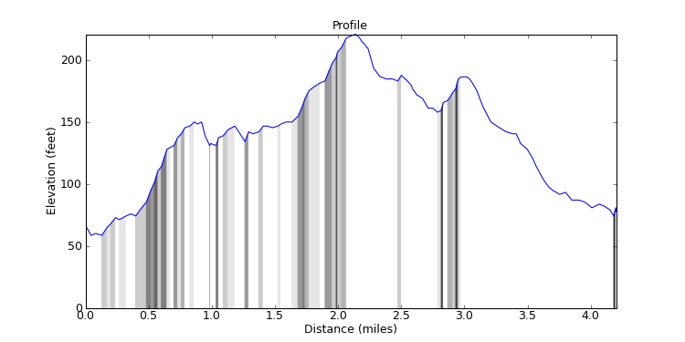 segment 2 large profile