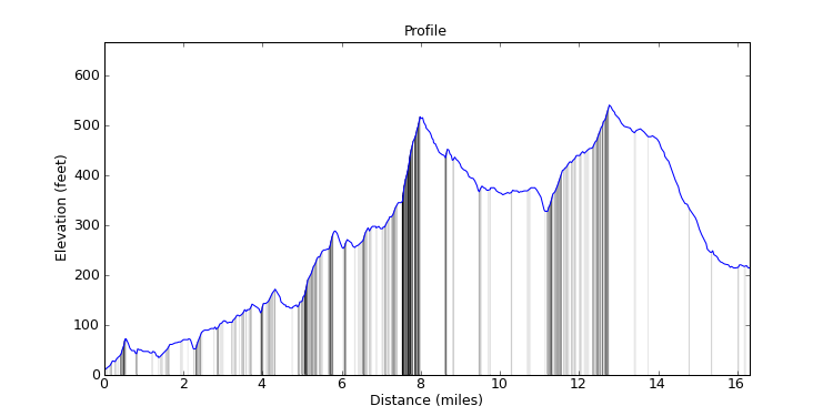 segment 1 large profile