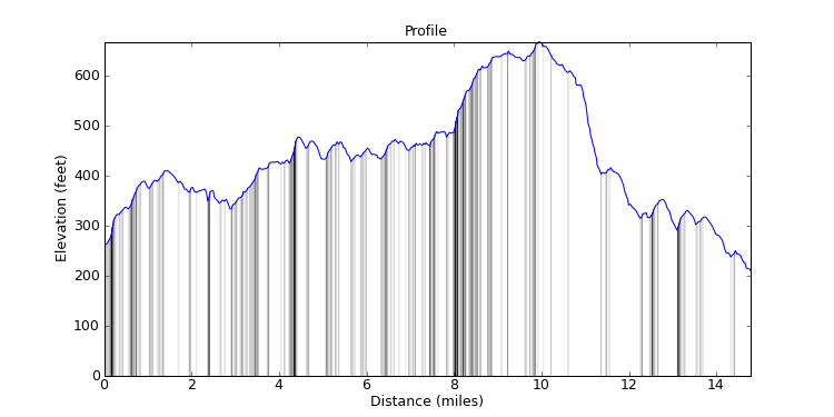 segment 11 large profile