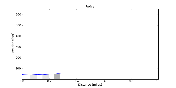 segment 11 large profile
