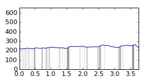 segment 4 small profile