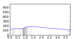 segment 8 small profile