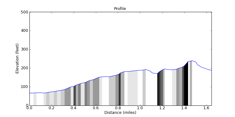 segment 11 large profile