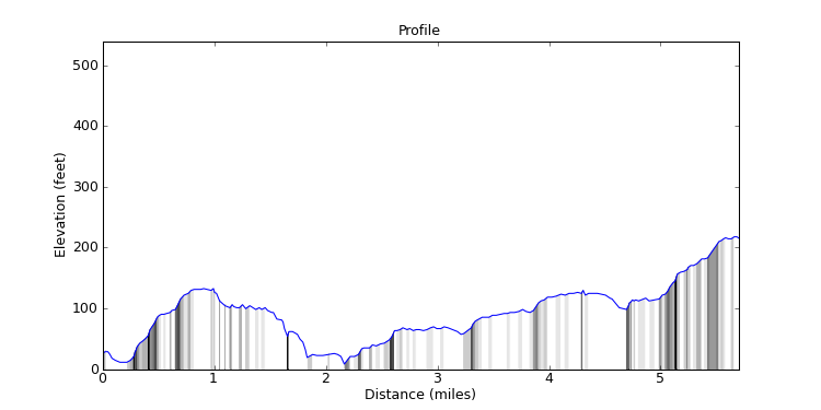 segment 31 large profile