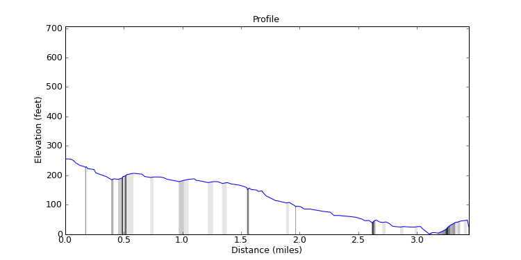 segment 31 large profile
