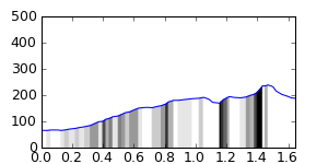 segment 11 small profile