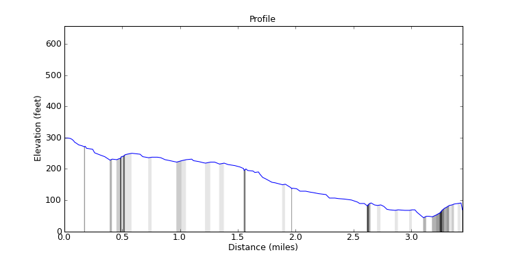 segment 11 large profile