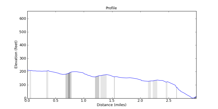 segment 4 large profile