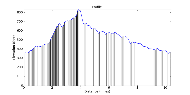 segment 12 large profile