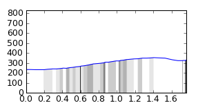 segment 19 small profile