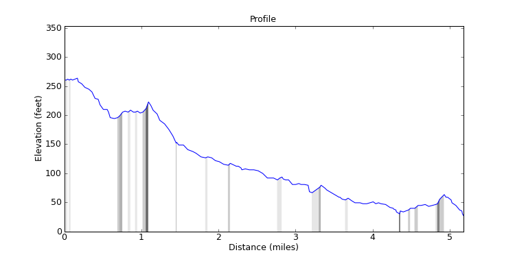 segment 9 large profile