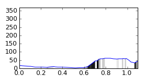 segment 4 small profile