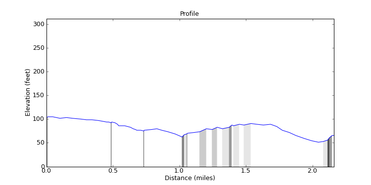 segment 11 large profile