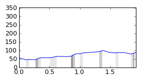 segment 13 small profile