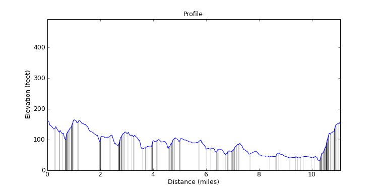 segment 11 large profile