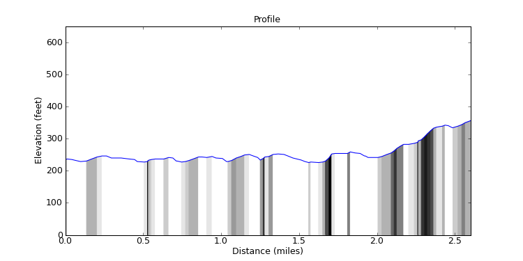 segment 11 large profile