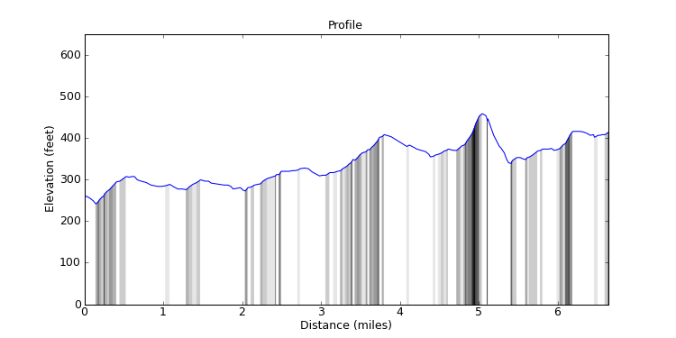 segment 3 large profile