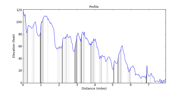 segment 1 large profile
