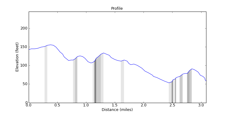 segment 7 large profile