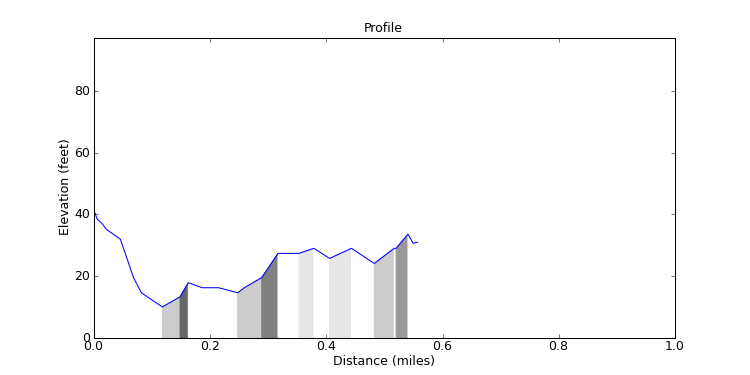 segment 11 large profile