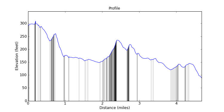 segment 11 large profile