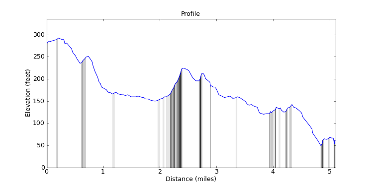 segment 11 large profile