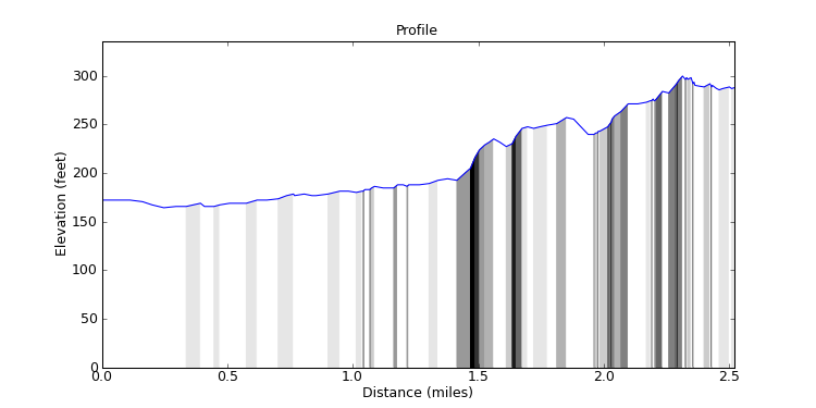 segment 2 large profile