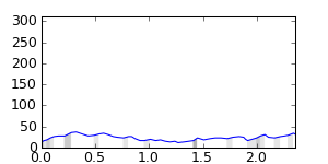 segment 11 small profile