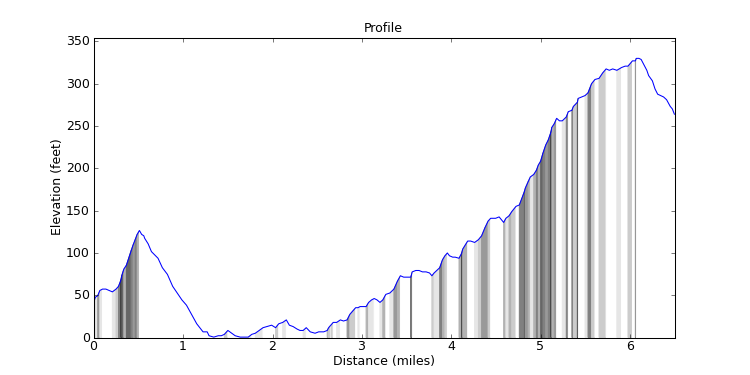 segment 11 large profile
