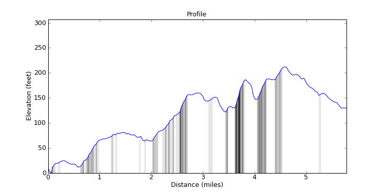 segment 12 large profile