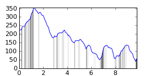 segment 8 small profile