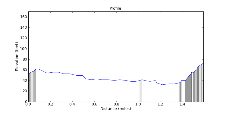 segment 11 large profile