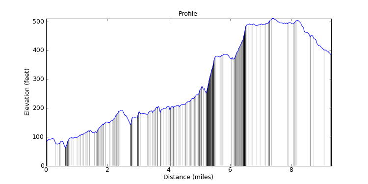segment 12 large profile