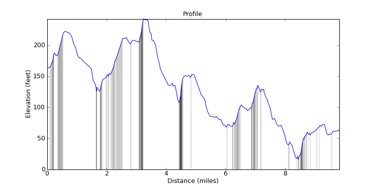 segment 4 large profile