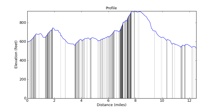 segment 4 large profile