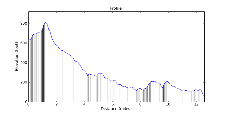 segment 7 large profile